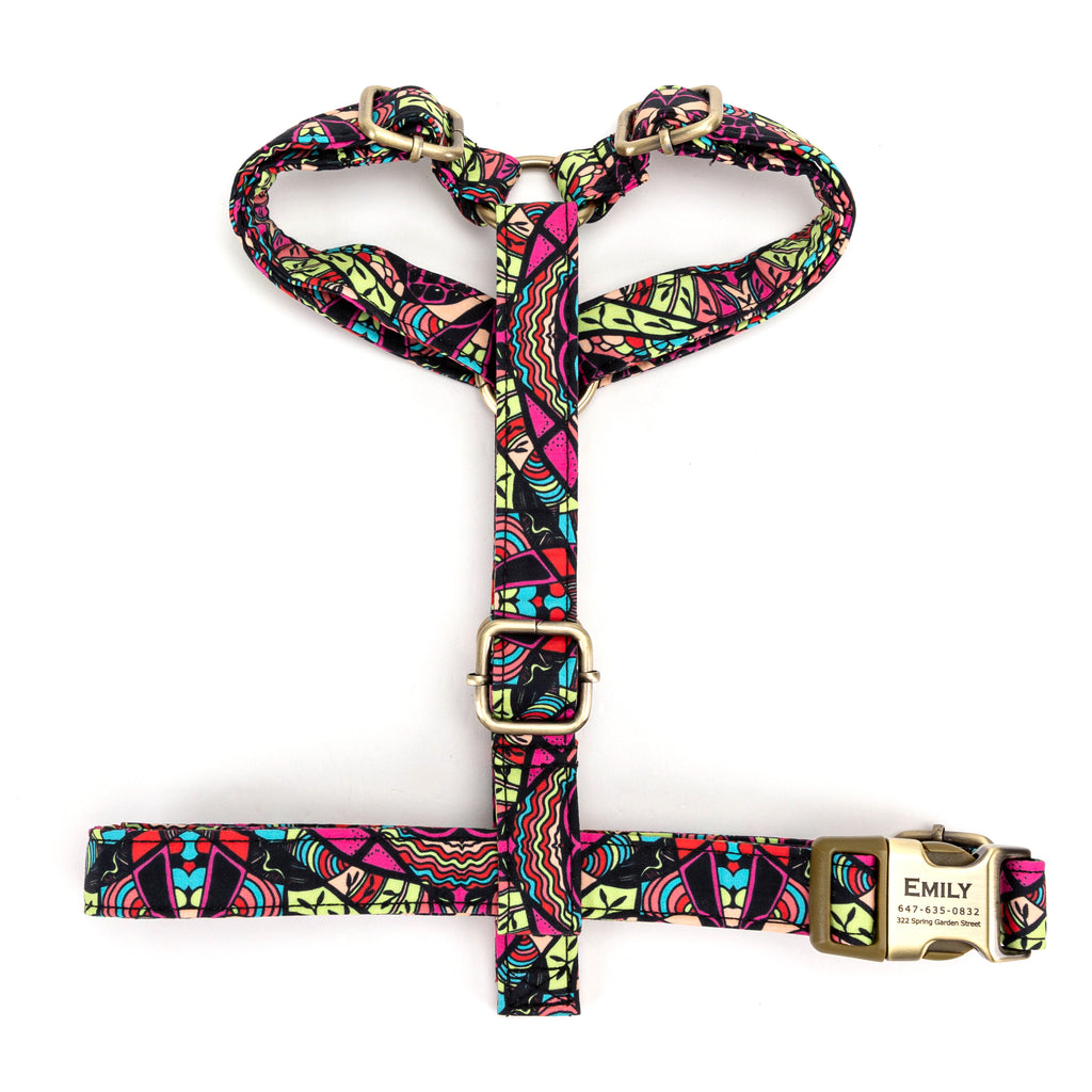 No Pull Dog Harness African