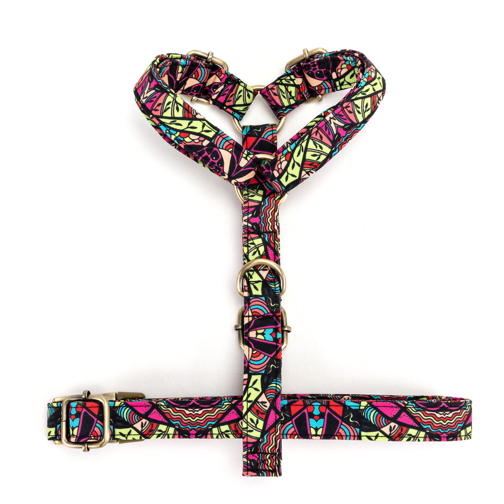 No Pull Dog Harness African