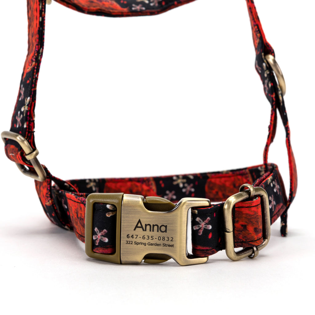 No Pull Dog Harness Pomegranate