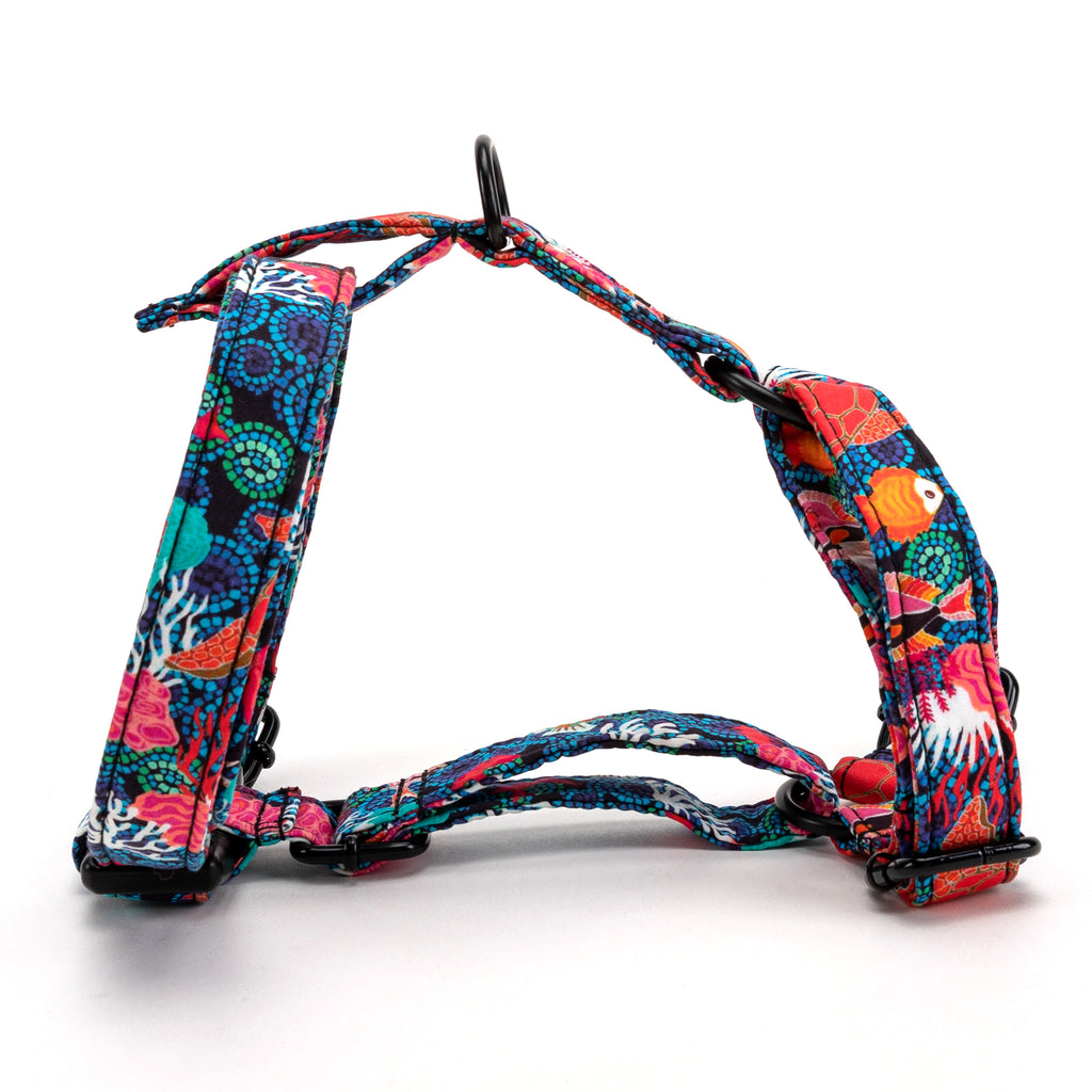 100% Cotton Adjustable No Pull Dog Harness Seaworld MAIN