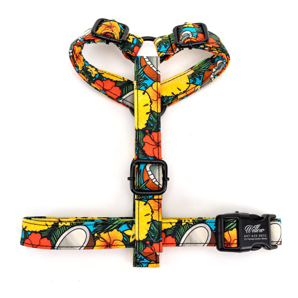 100% Cotton Adjustable No Pull Dog Harness Coconuts top