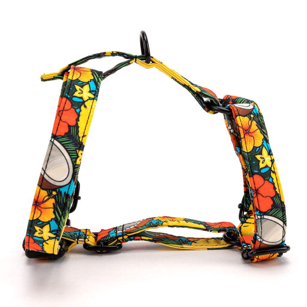 100% Cotton Adjustable No Pull Dog Harness Coconuts main
