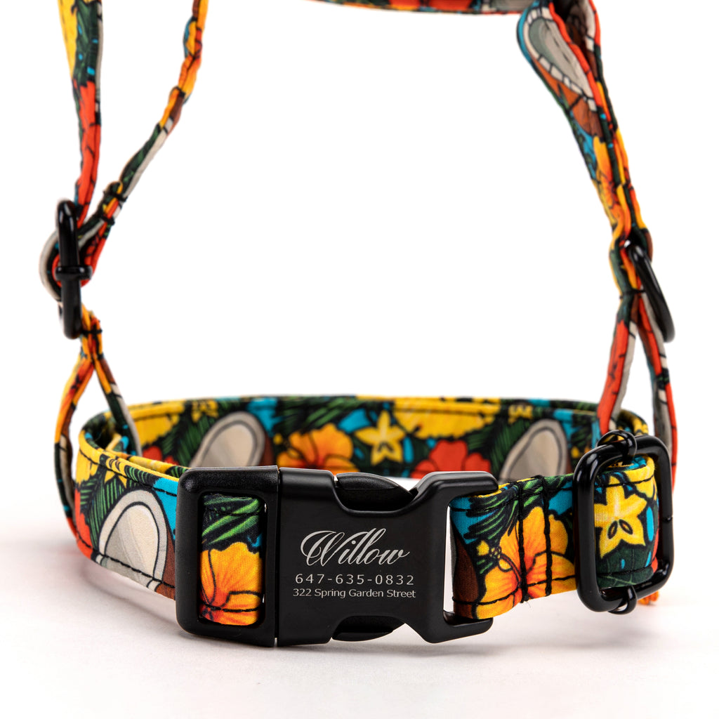100% Cotton Adjustable No Pull Dog Harness Coconuts front
