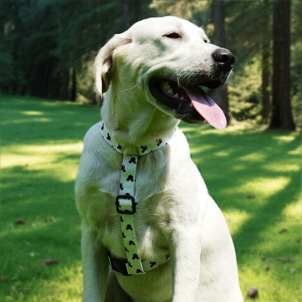 Dog wears 100% Cotton Adjustable No Pull Dog Harness Minnie front
