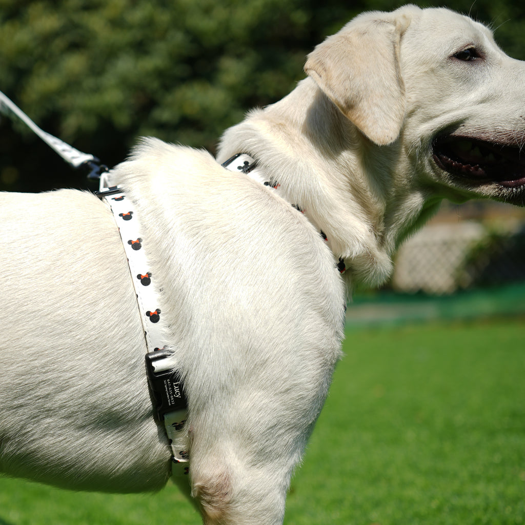 Dog wears 100% Cotton Adjustable No Pull Dog Harness Minnie side