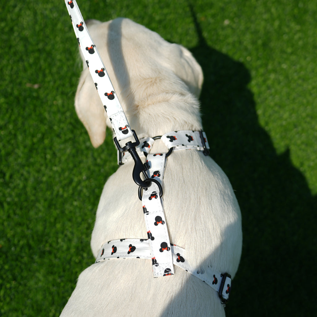 Dog wears 100% Cotton Adjustable No Pull Dog Harness Minnie back