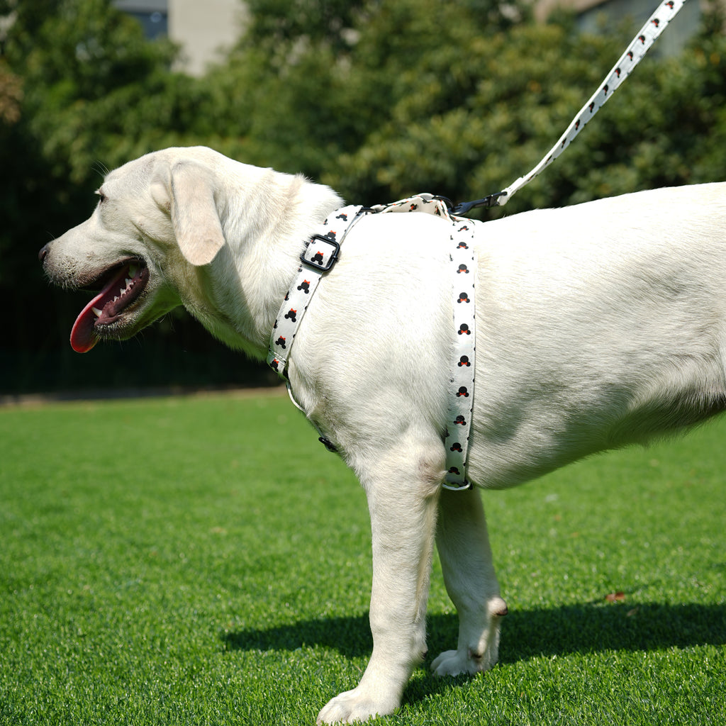 Dog wears 100% Cotton Adjustable No Pull Dog Harness Minnie  side-1
