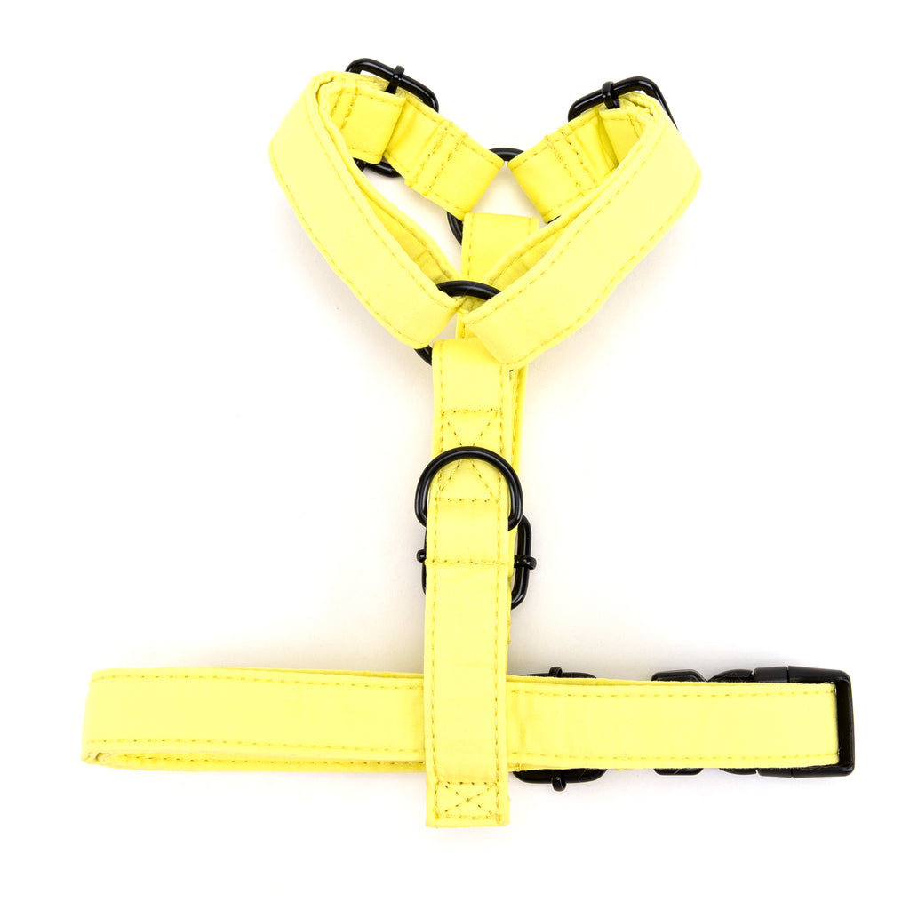 100% Cotton Adjustable No Pull Dog Harness Lemon BOTTOM