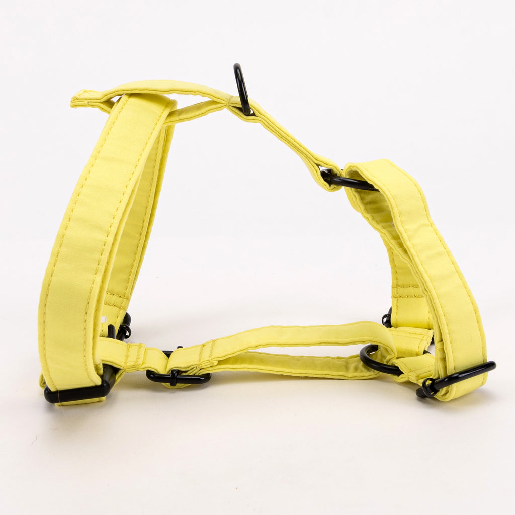 100% Cotton Adjustable No Pull Dog Harness Lemon MAIN