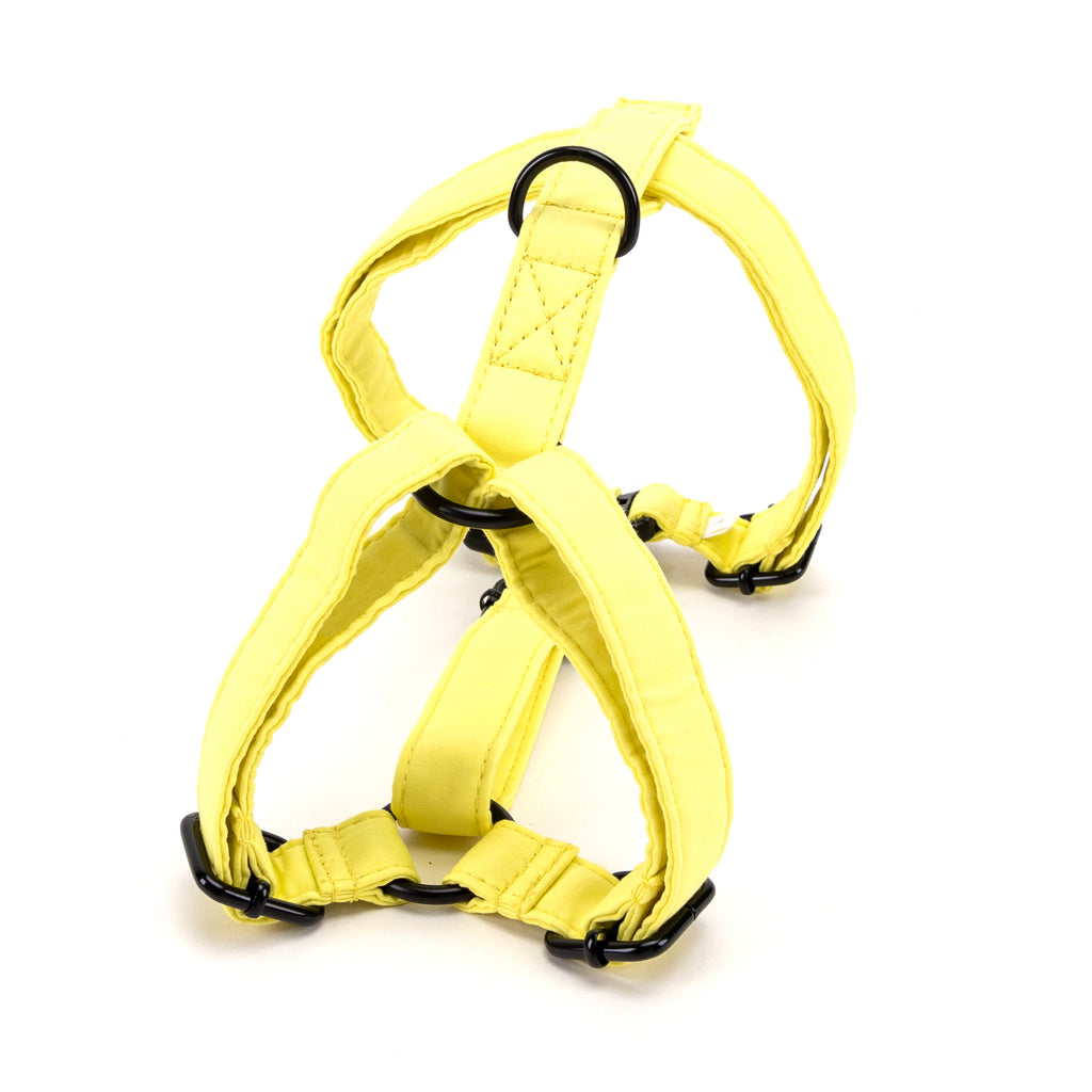 100% Cotton Adjustable No Pull Dog Harness Lemon BACK