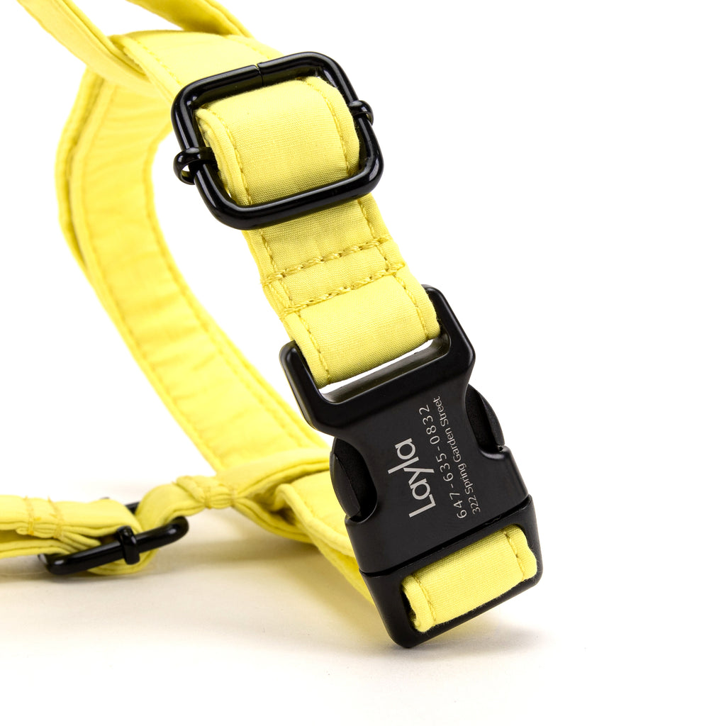 100% Cotton Adjustable No Pull Dog Harness Lemon BUCKLE
