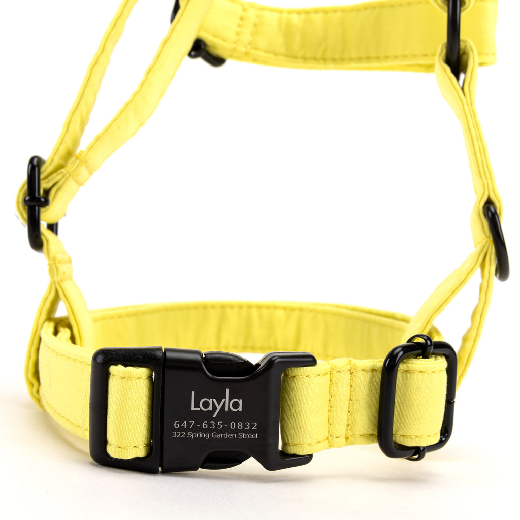 100% Cotton Adjustable No Pull Dog Harness Lemon FRONT