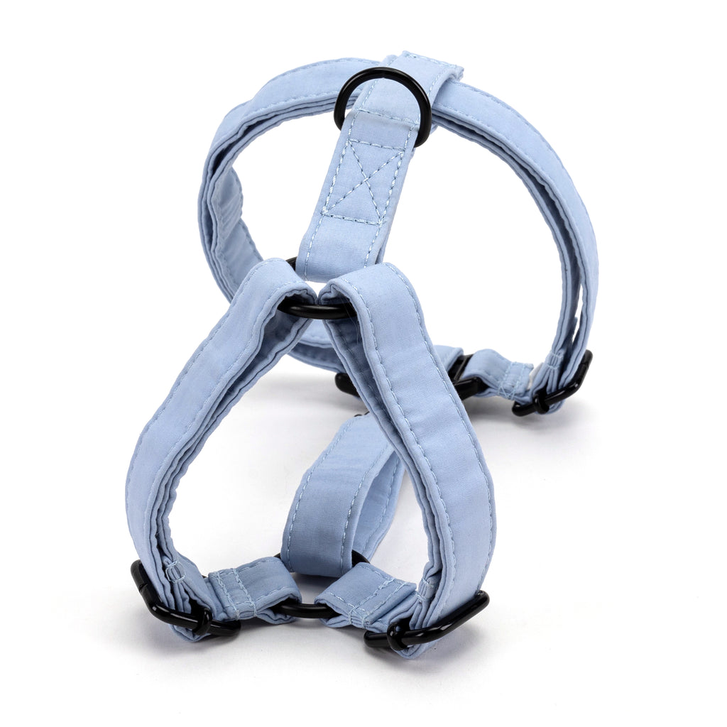 100% Cotton Adjustable No Pull Dog Harness Blue BACK