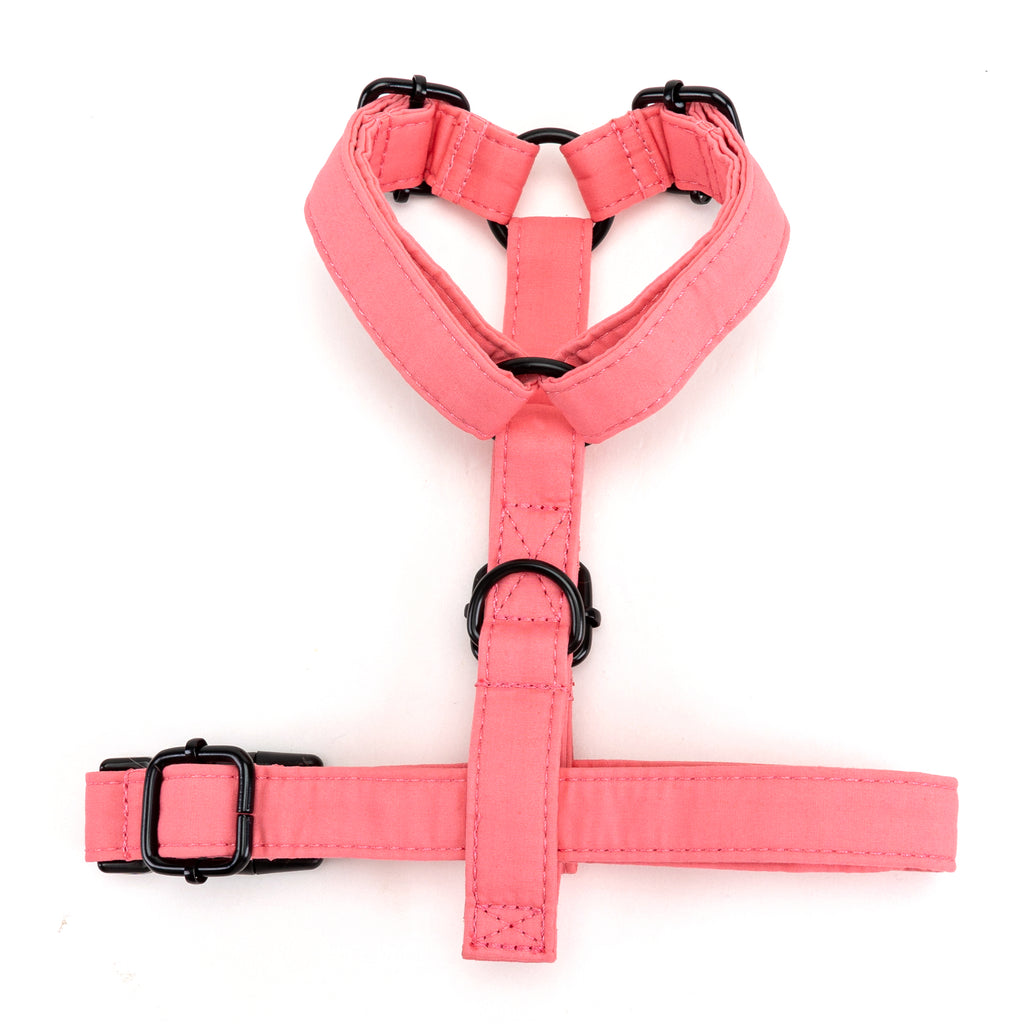 100% Cotton Adjustable No Pull Dog Harness Coral BOTTOM