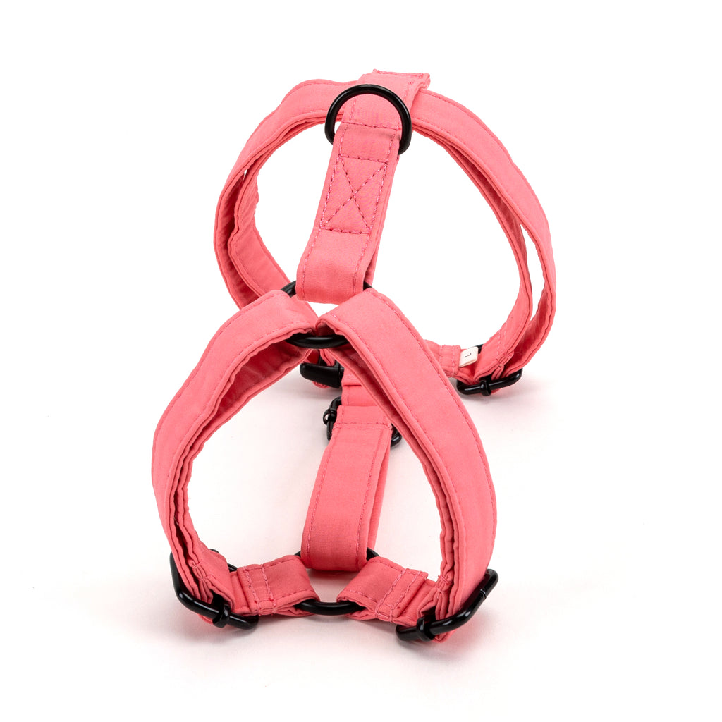 100% Cotton Adjustable No Pull Dog Harness Coral BACK