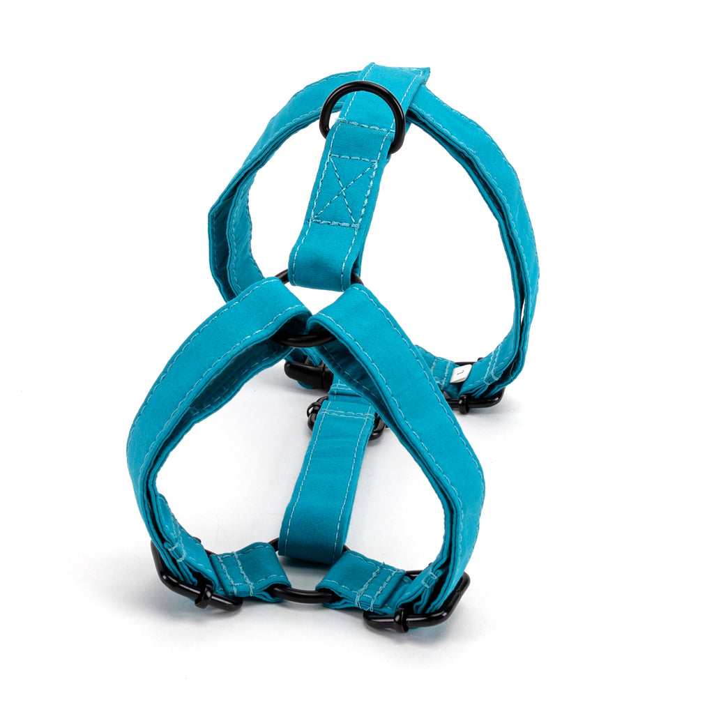 100% Cotton Adjustable No Pull Dog Harness Peacock Blue BACK