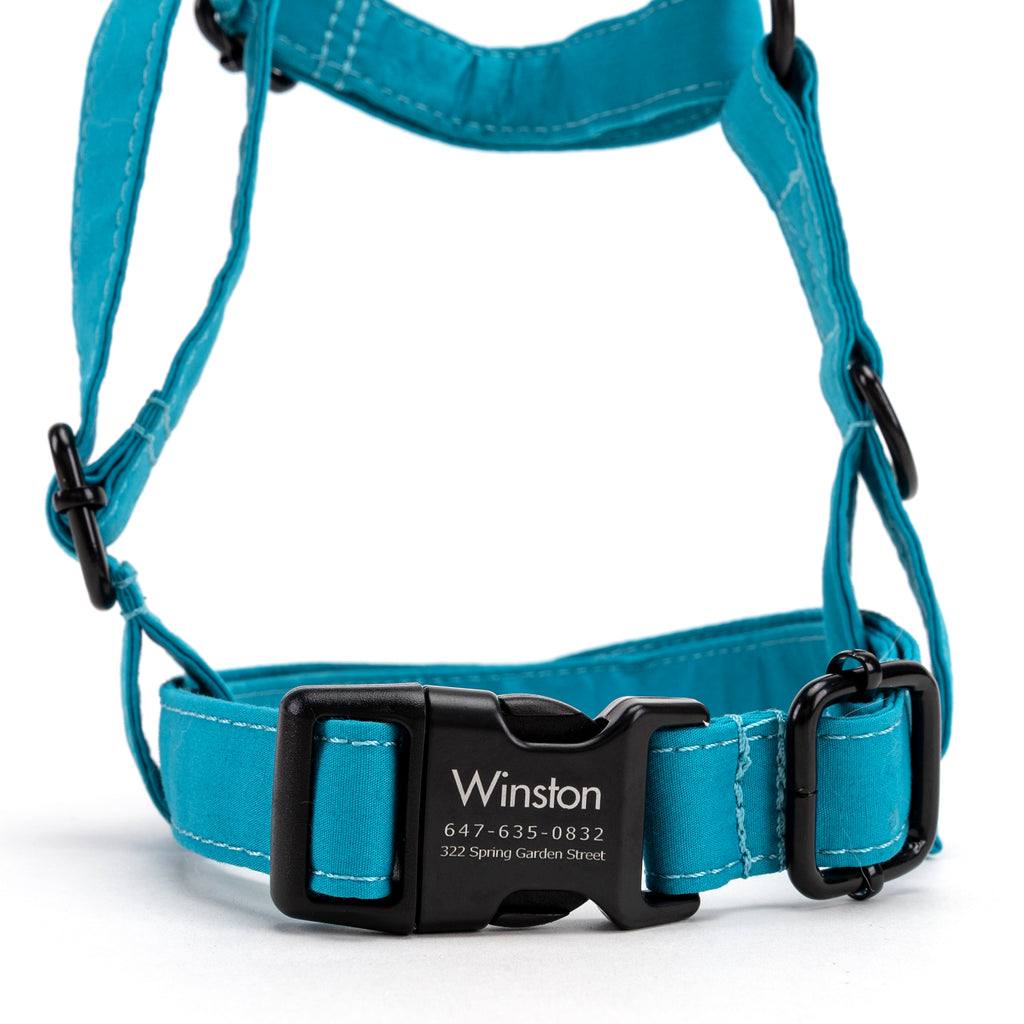 100% Cotton Adjustable No Pull Dog Harness Peacock Blue FRONT