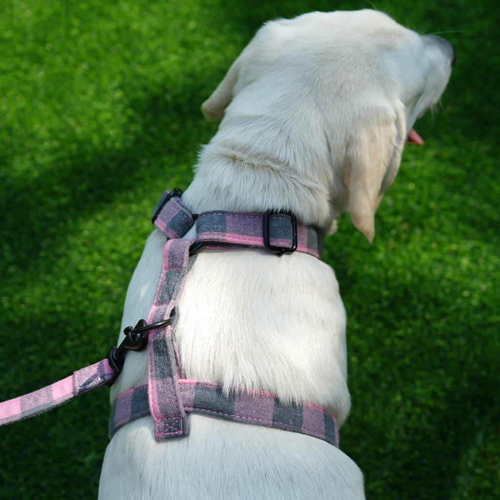 Dog wears 100% Cotton Adjustable No Pull Dog Harness Plaid Pink back