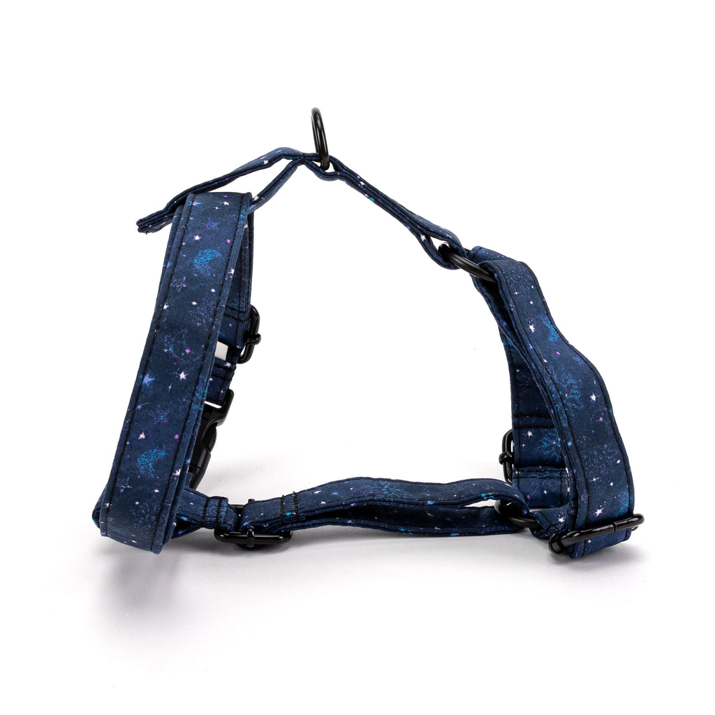 100% Cotton Adjustable No Pull Dog Harness Galaxy Stars MAIN