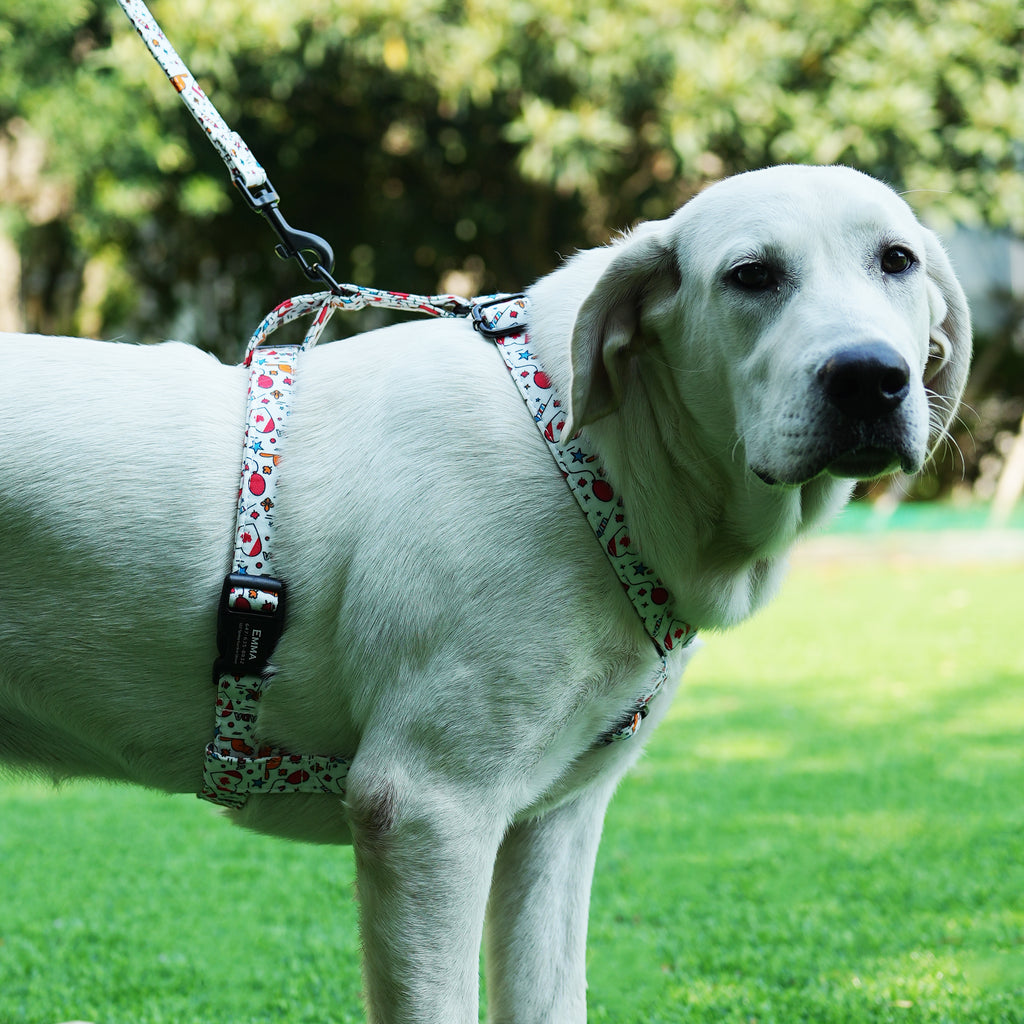 Dog is showing the side of a 100% Cotton Adjustable No Pull Dog Harness with Love Canada design