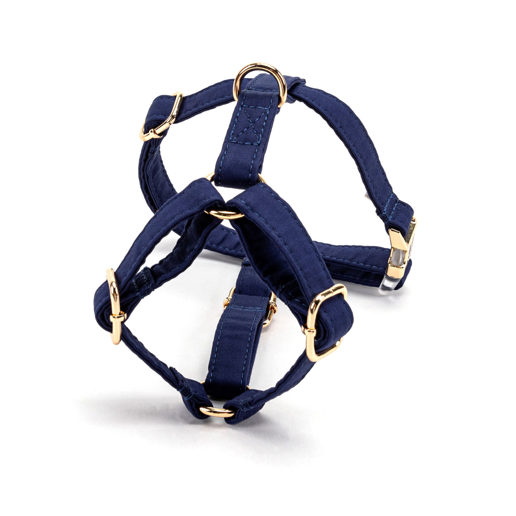 100% Cotton Adjustable No Pull Dog Harness  Royal Blue back