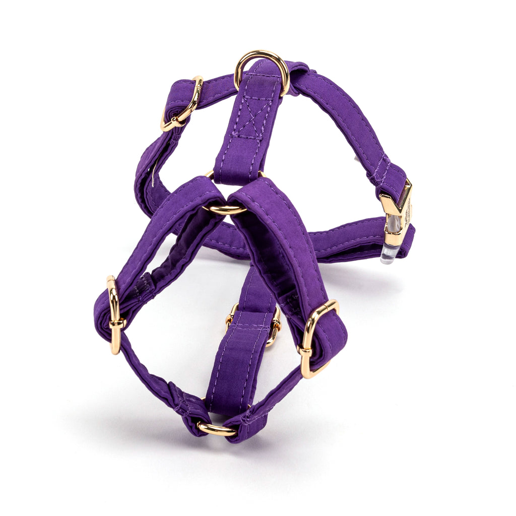 100% Cotton Adjustable No Pull Dog Harness  Purple Tornado back