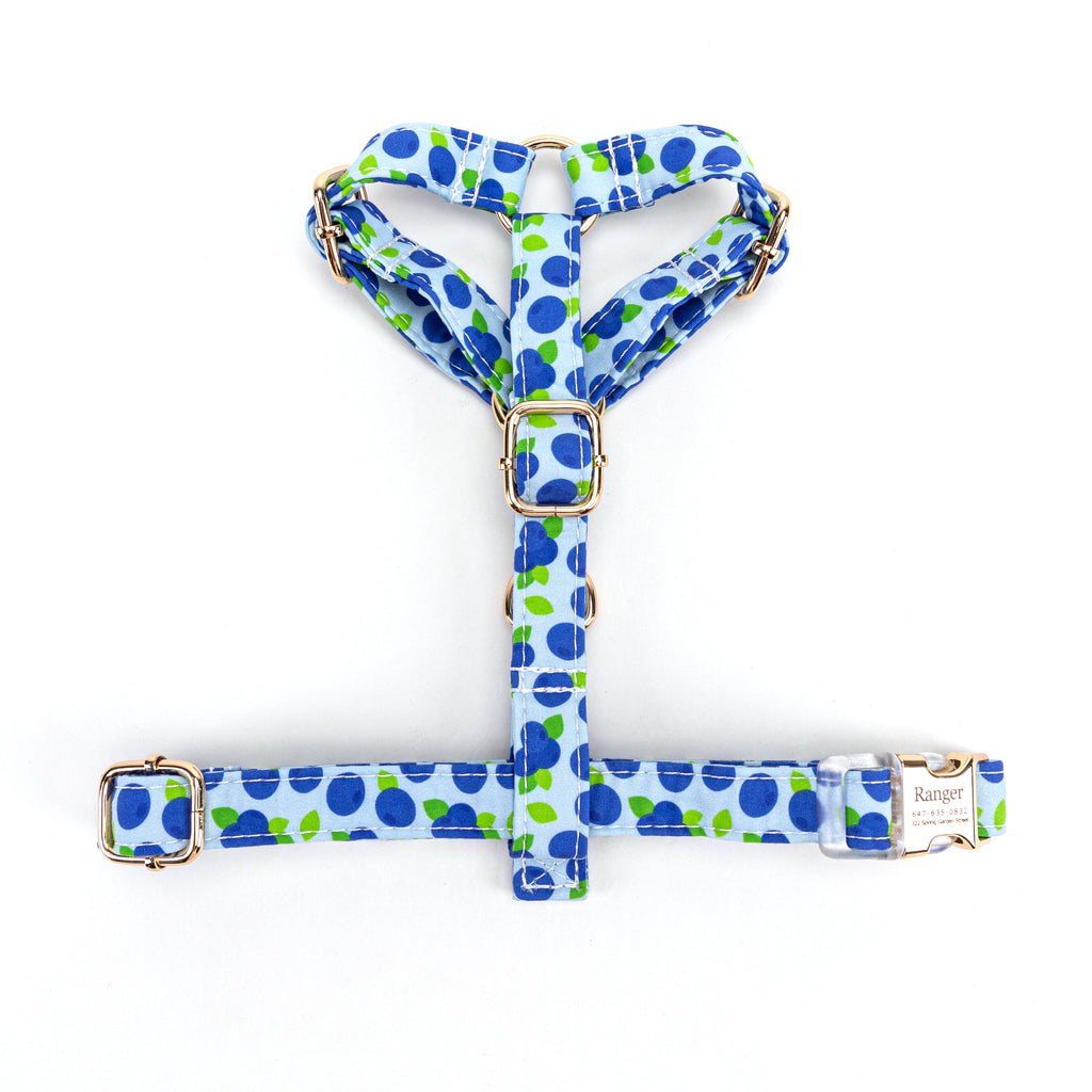 100% Cotton Adjustable No Pull Dog Harness  Blueberry top