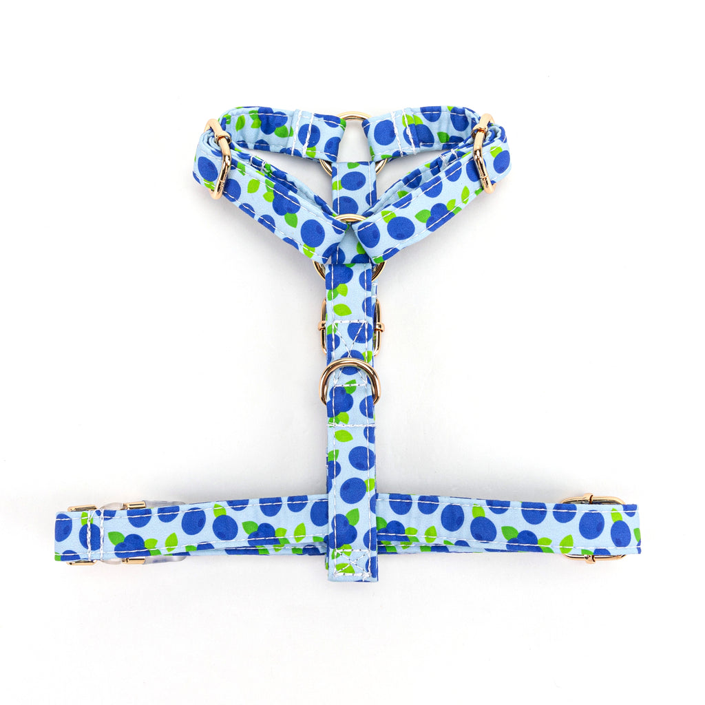100% Cotton Adjustable No Pull Dog Harness  Blueberry bottom
