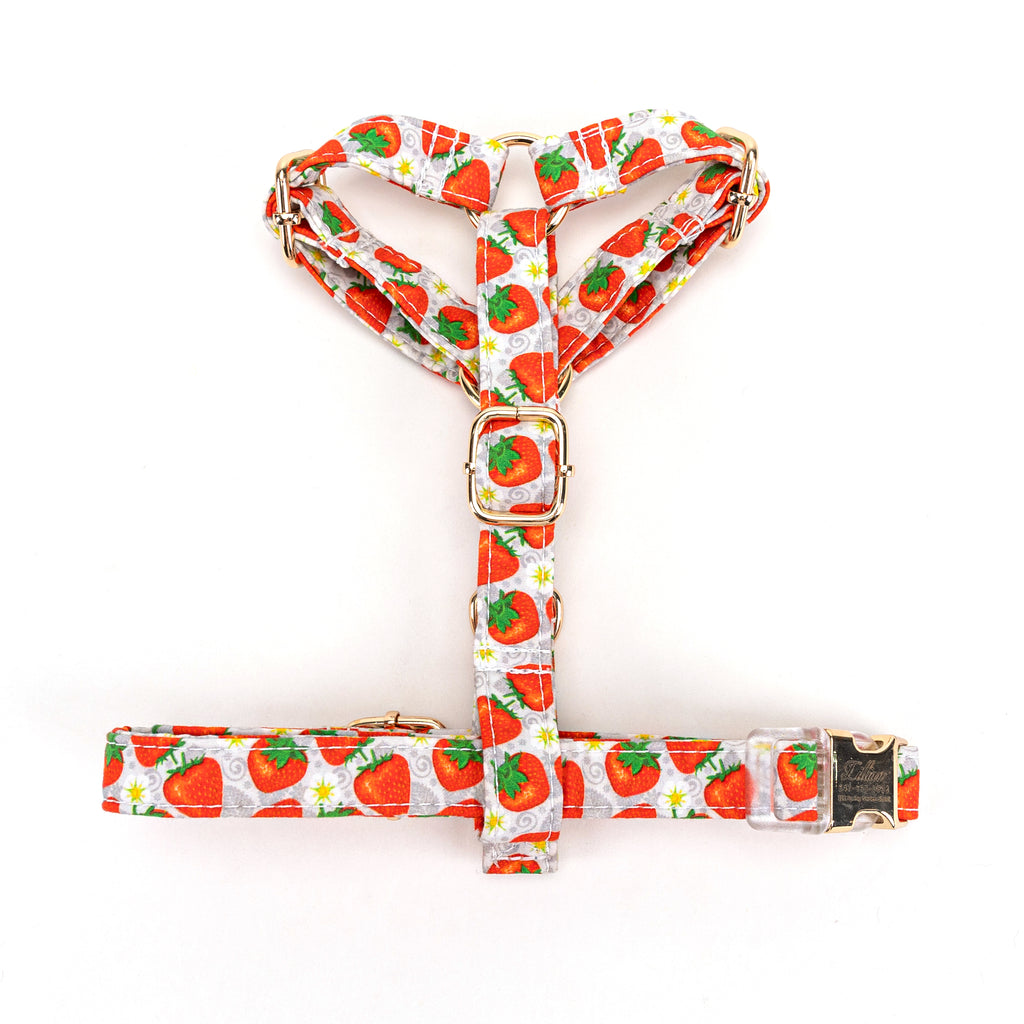 100% Cotton Adjustable No Pull Dog Harness Dancing Strawberries top