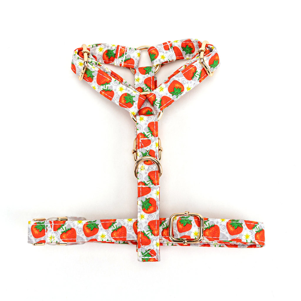 100% Cotton Adjustable No Pull Dog Harness Dancing Strawberries bottom