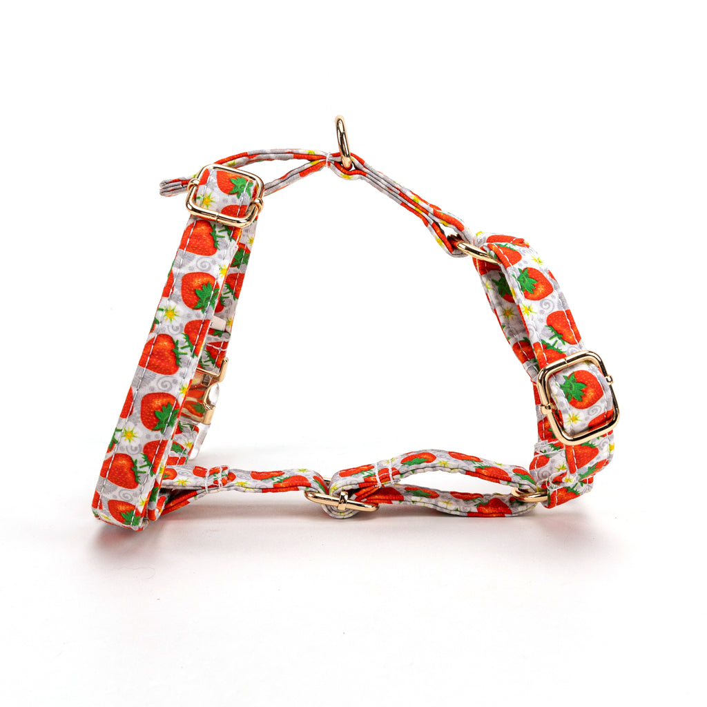 100% Cotton Adjustable No Pull Dog Harness Dancing Strawberries main