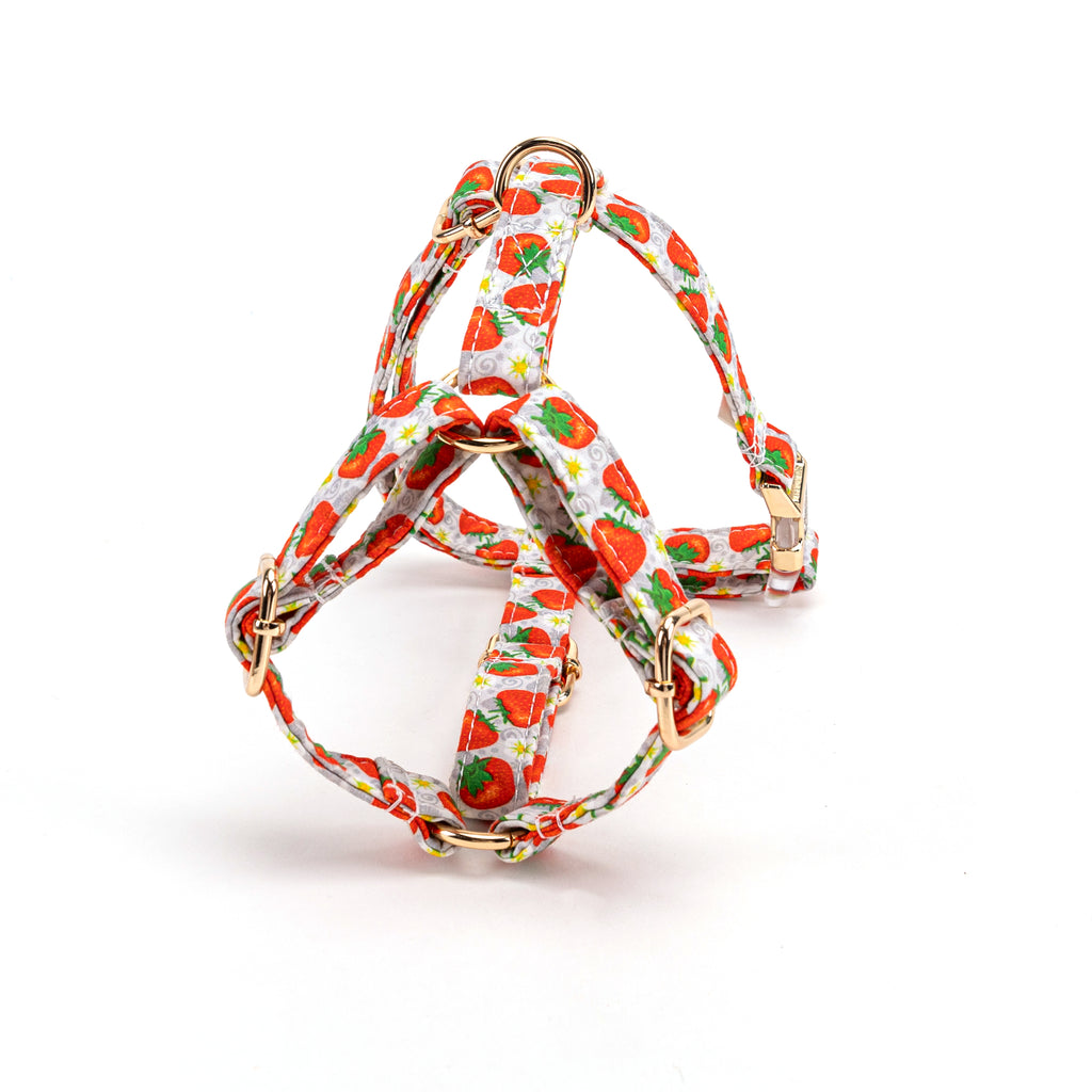 100% Cotton Adjustable No Pull Dog Harness Dancing Strawberries back
