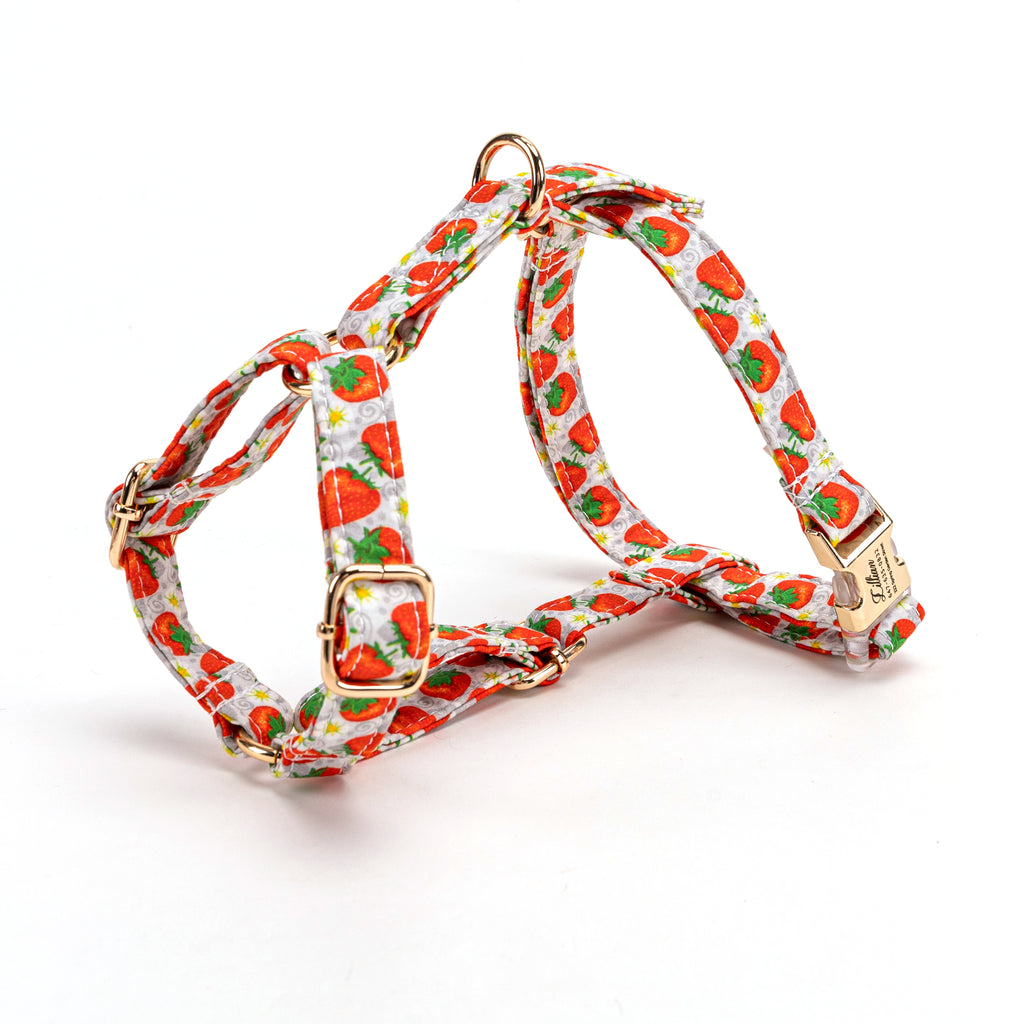 100% Cotton Adjustable No Pull Dog Harness Dancing Strawberries side