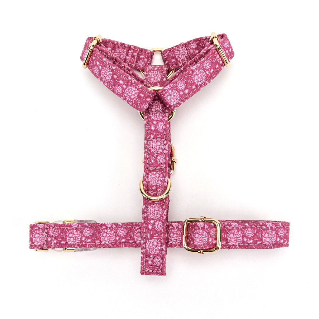 100% Cotton Adjustable No Pull Dog Harness Wild Tulip BOTTOM