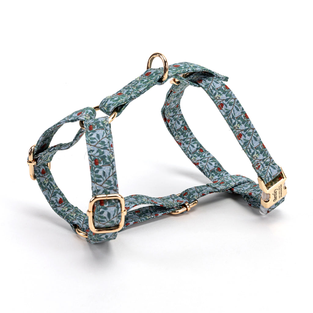 100% Cotton Adjustable No Pull Dog Harness Arbutus SIDE