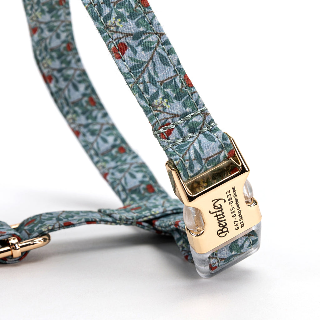 100% Cotton Adjustable No Pull Dog Harness Arbutus BUCKLE