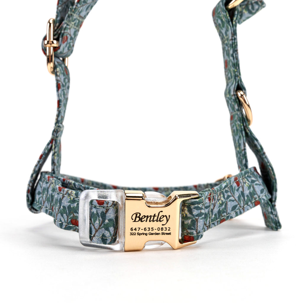 100% Cotton Adjustable No Pull Dog Harness Arbutus FRONT