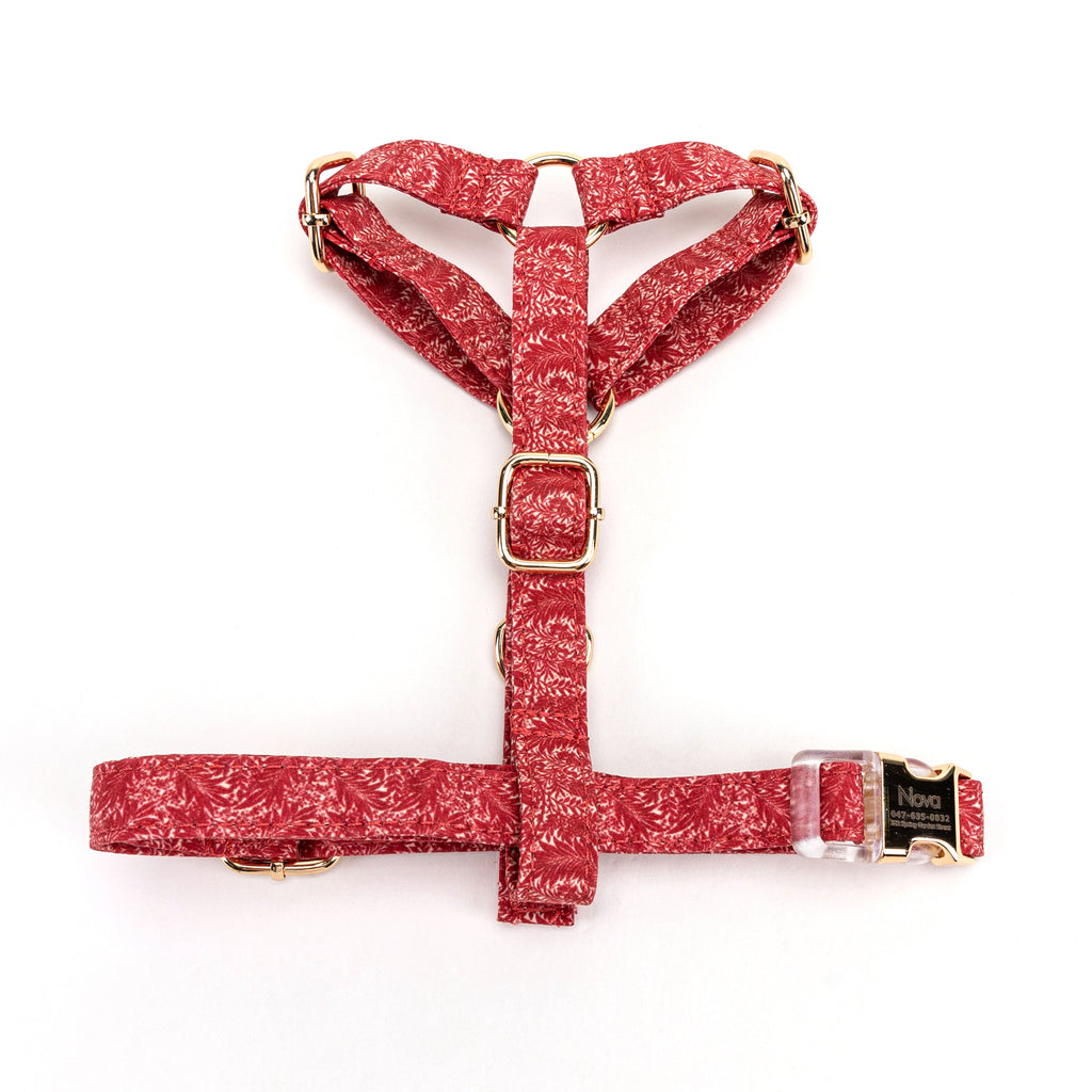100% Cotton Adjustable No Pull Dog Harness Larkspur TOP