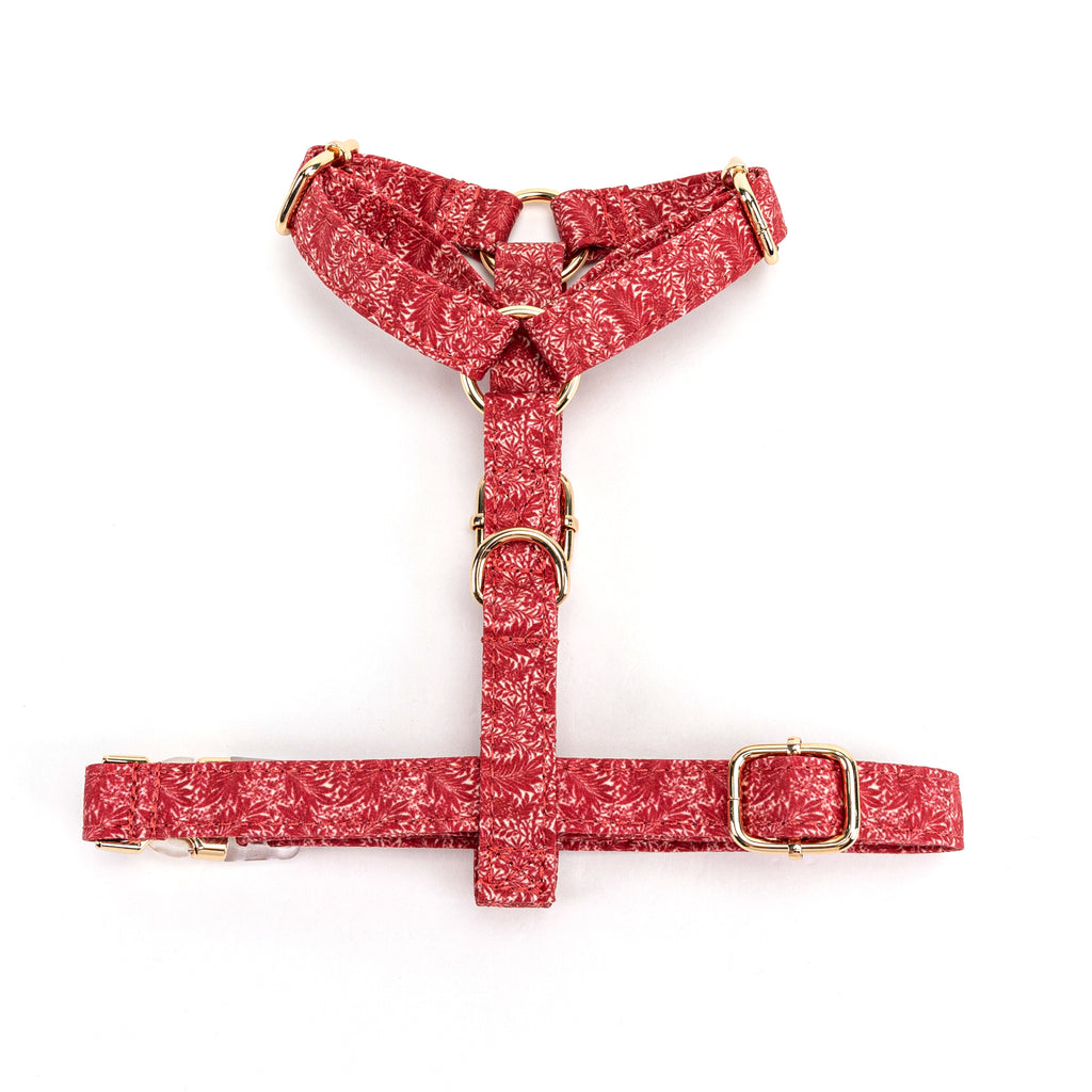 100% Cotton Adjustable No Pull Dog Harness Larkspur BOTTOM