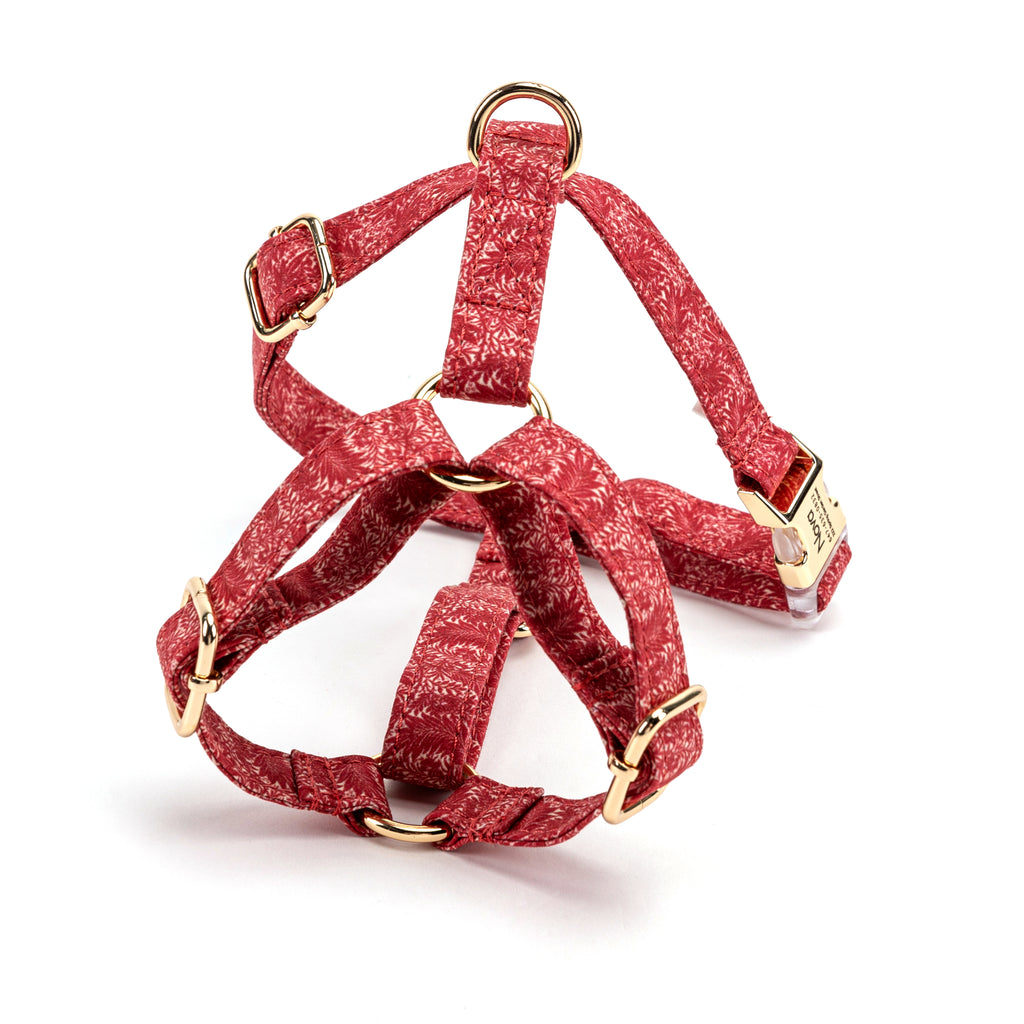 100% Cotton Adjustable No Pull Dog Harness Larkspur BACK