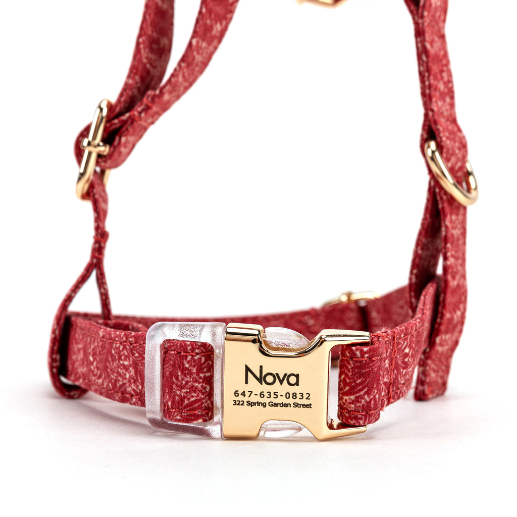100% Cotton Adjustable No Pull Dog Harness Larkspur FRONT