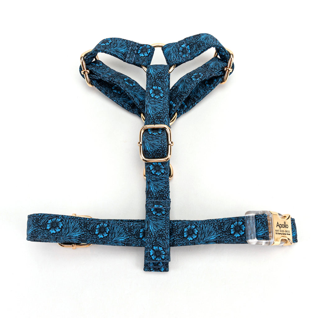 100% Cotton Adjustable No Pull Dog Harness Marigold TOP
