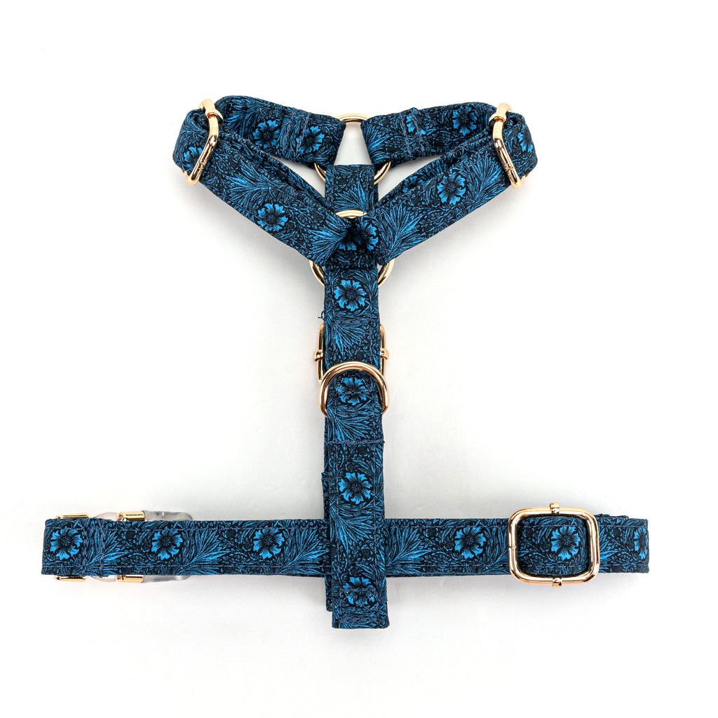 100% Cotton Adjustable No Pull Dog Harness Marigold BOTTOM