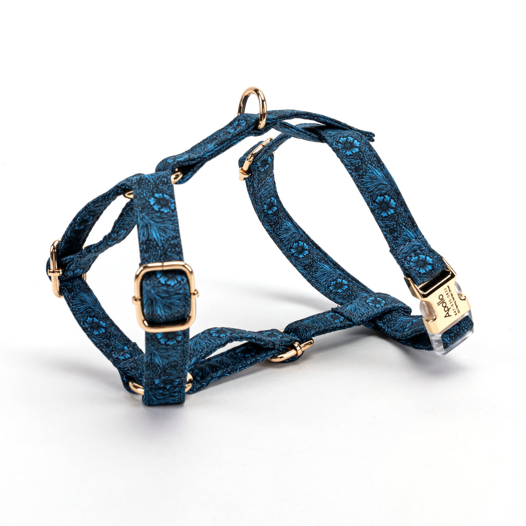 100% Cotton Adjustable No Pull Dog Harness Marigold SIDE