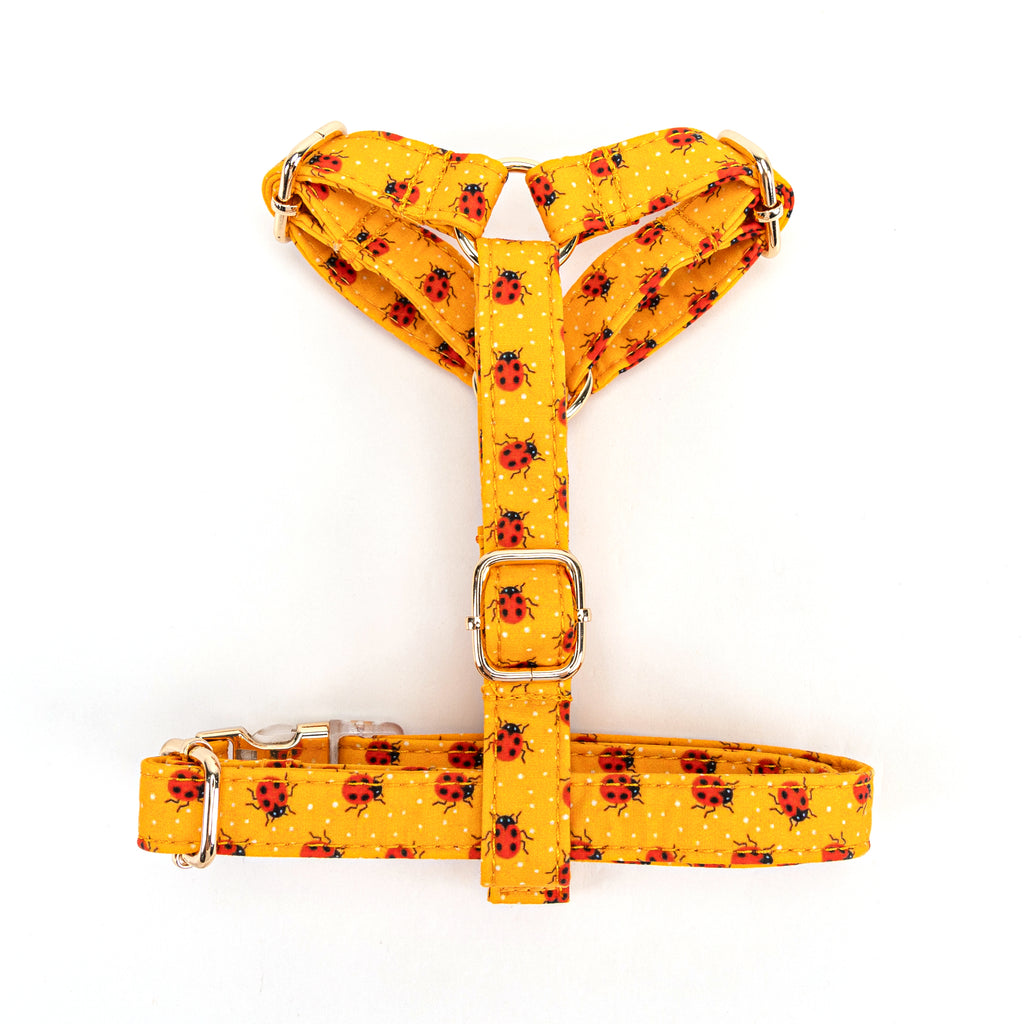 100% Cotton Adjustable No Pull Dog Harness Ladybug BOTTOM