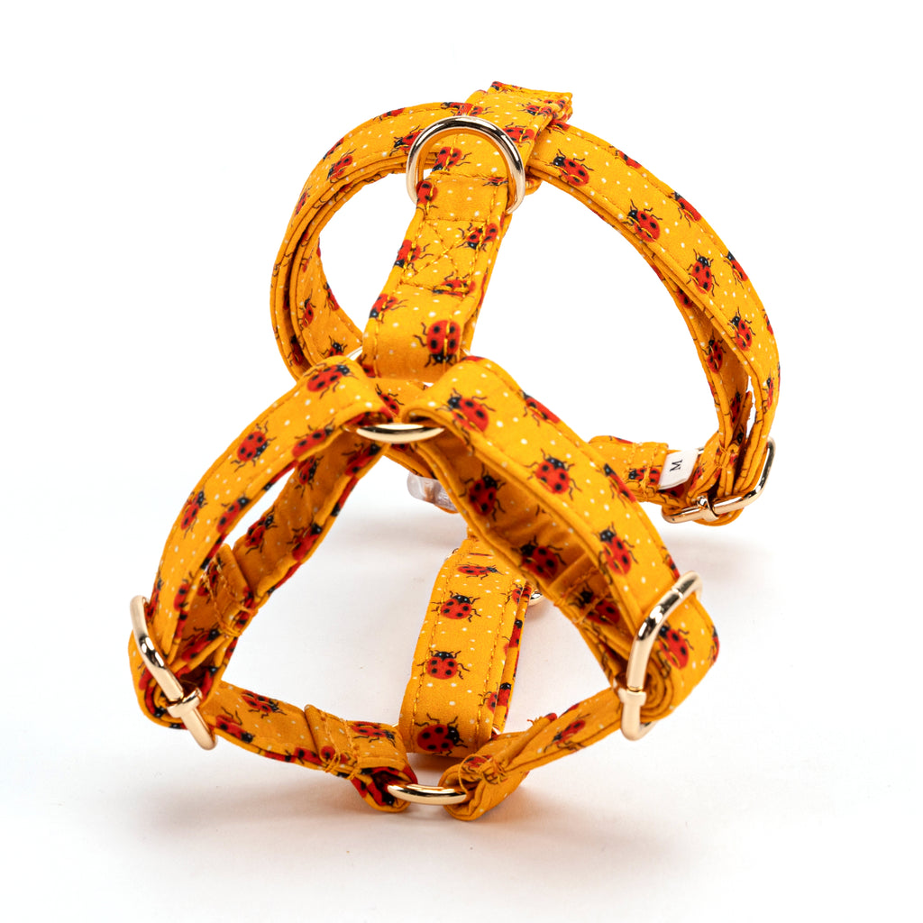 100% Cotton Adjustable No Pull Dog Harness Ladybug BACK