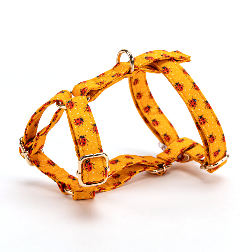 100% Cotton Adjustable No Pull Dog Harness Ladybug SIDE