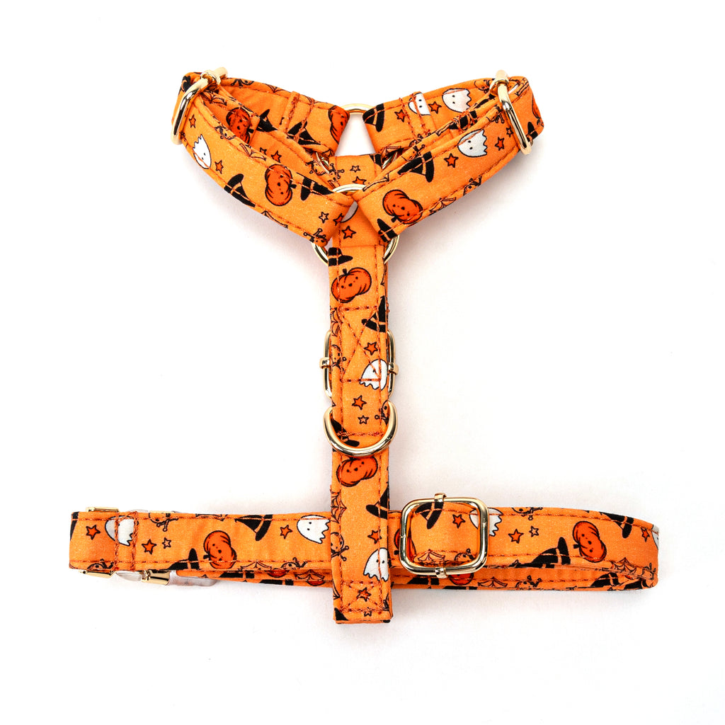 100% Cotton Adjustable No Pull Dog Harness Magic Halloween BOTTOM
