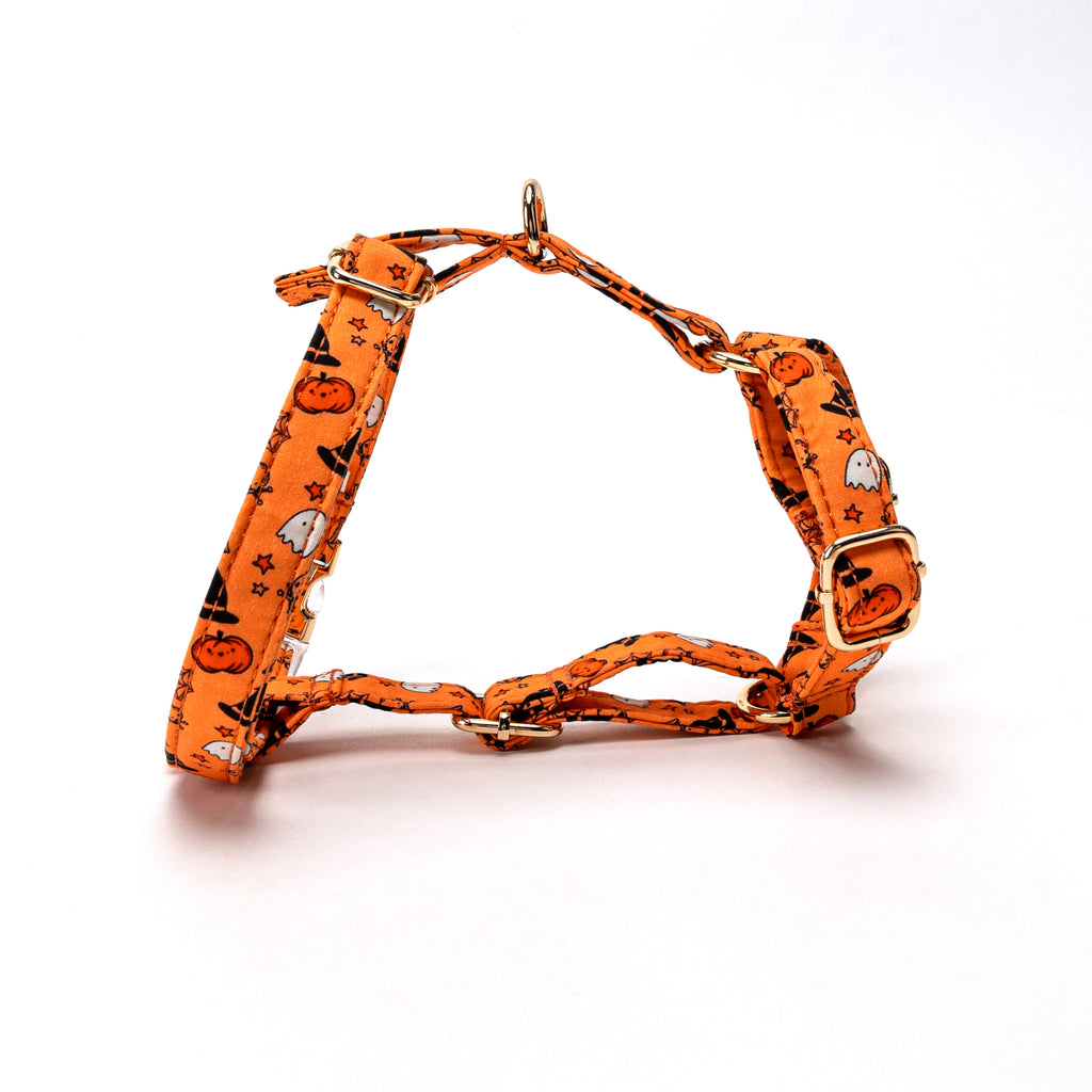 100% Cotton Adjustable No Pull Dog Harness Magic Halloween MAIN