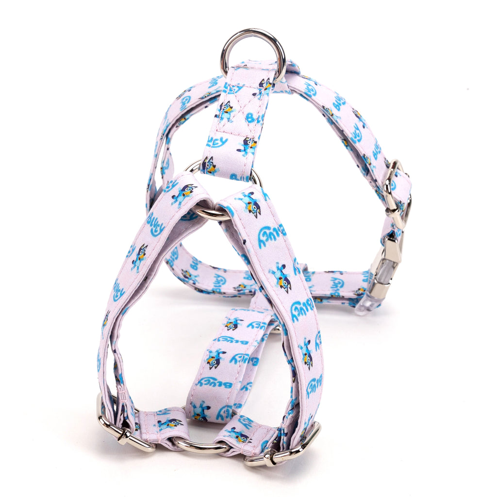 100% Cotton Adjustable No Pull Dog Harness Bluey BACK